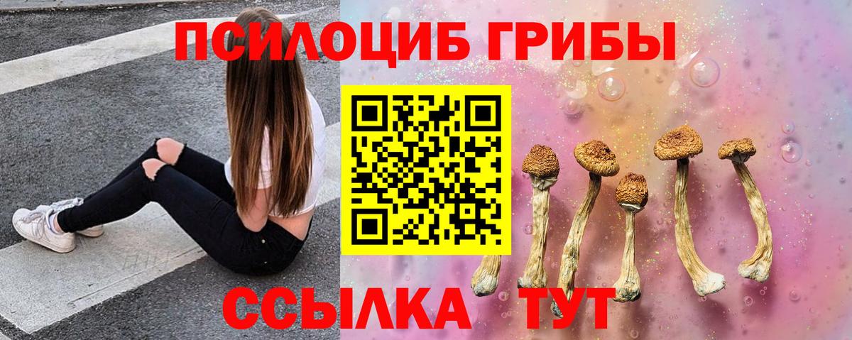 Псилоцибиновые грибы Psilocybine cubensis Тобольск